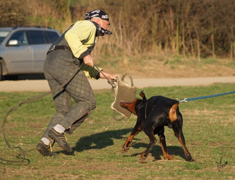 Training in Prague 3/2007